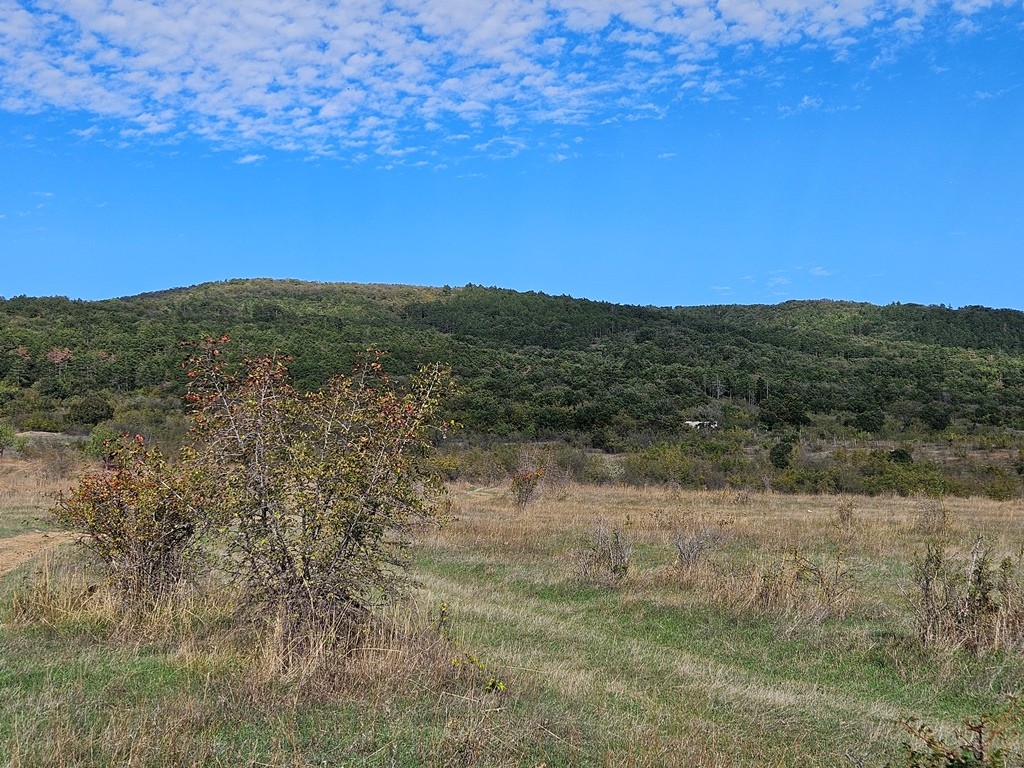 Kosharitsa Bulgaria Land Land Plot Kosharitza