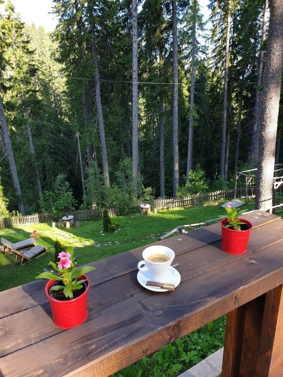 Пампорово България 2-стаен Апартамент Green Life Family Apartments Pamporovo